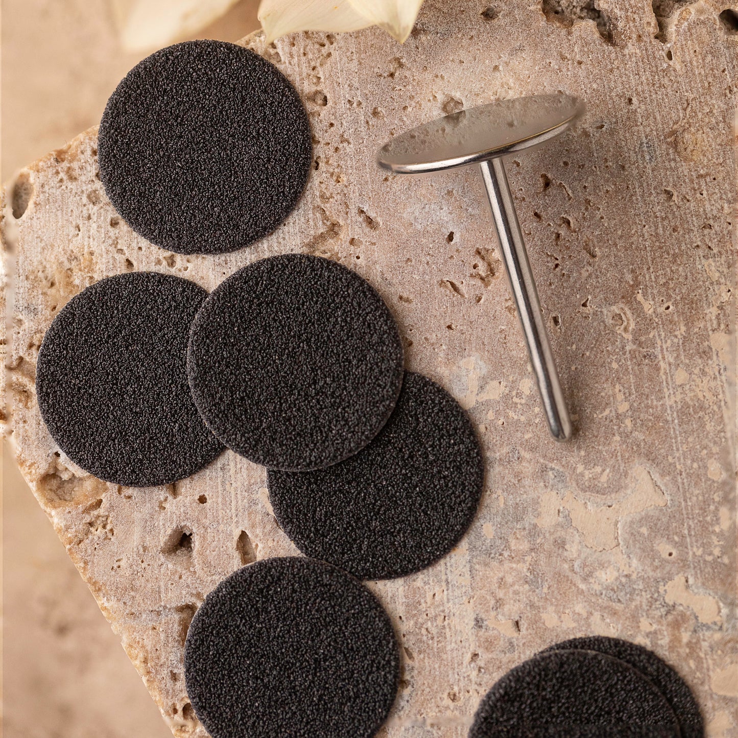 Metal Disc with 50 pc replacement food files