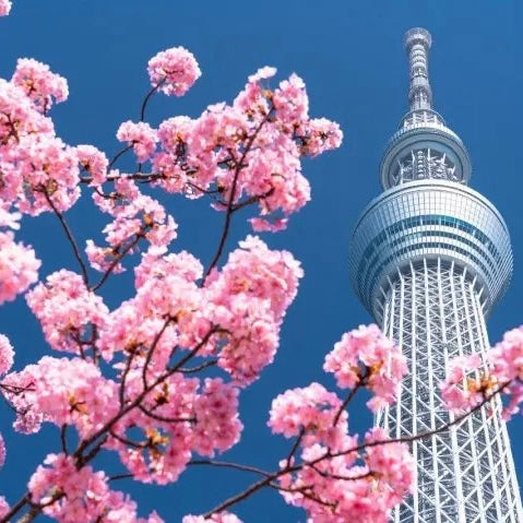 Color Hard Gel - Tokyo