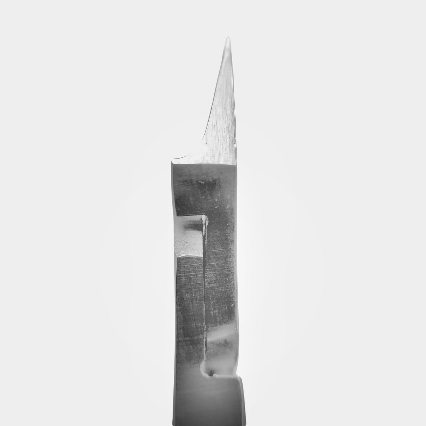 Professional Ingrown Nail Nippers