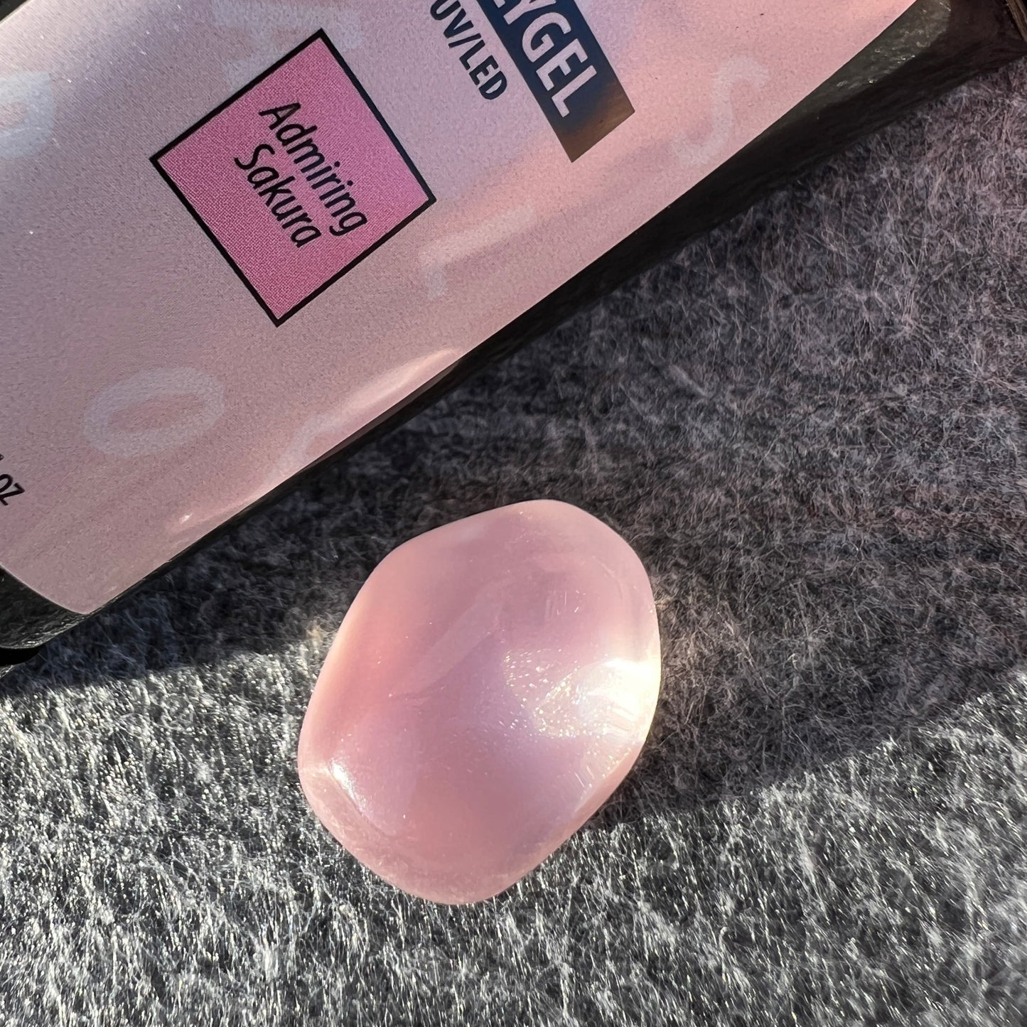 Polygel - Admiring Sakura