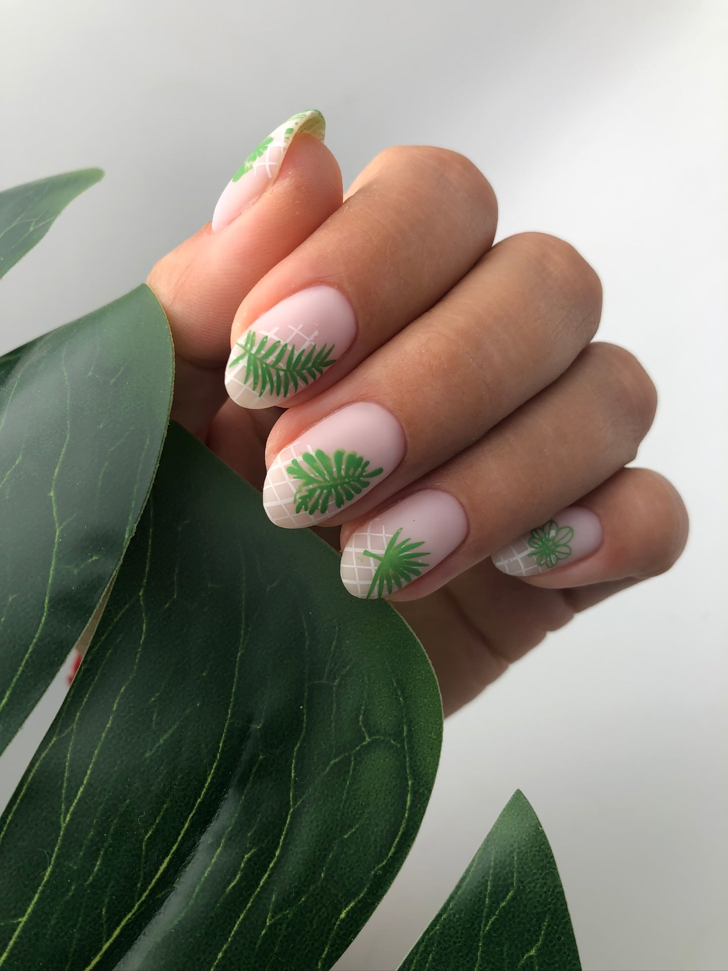 Matte Top Velvet