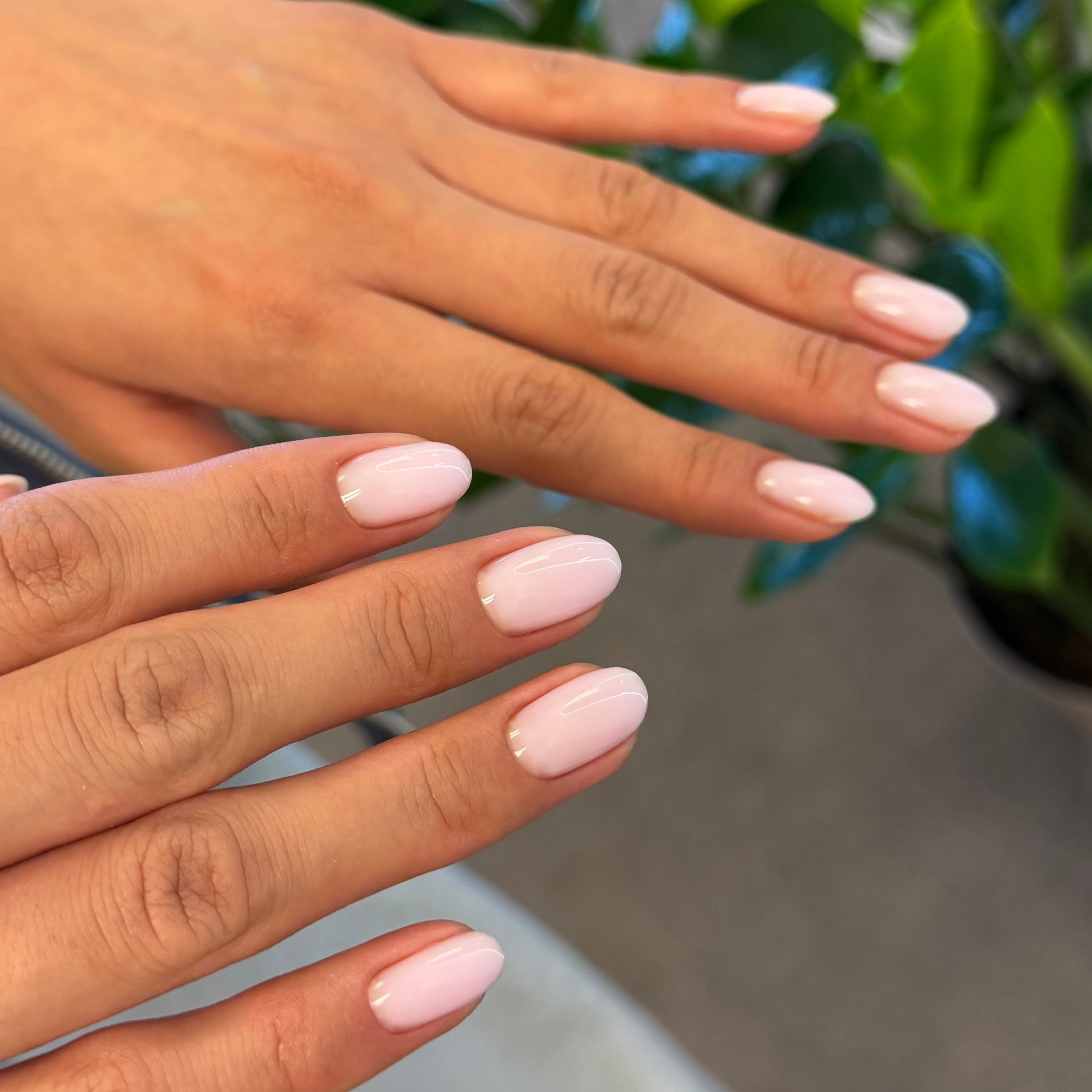 Delicate Blush - Smart Hard Gel