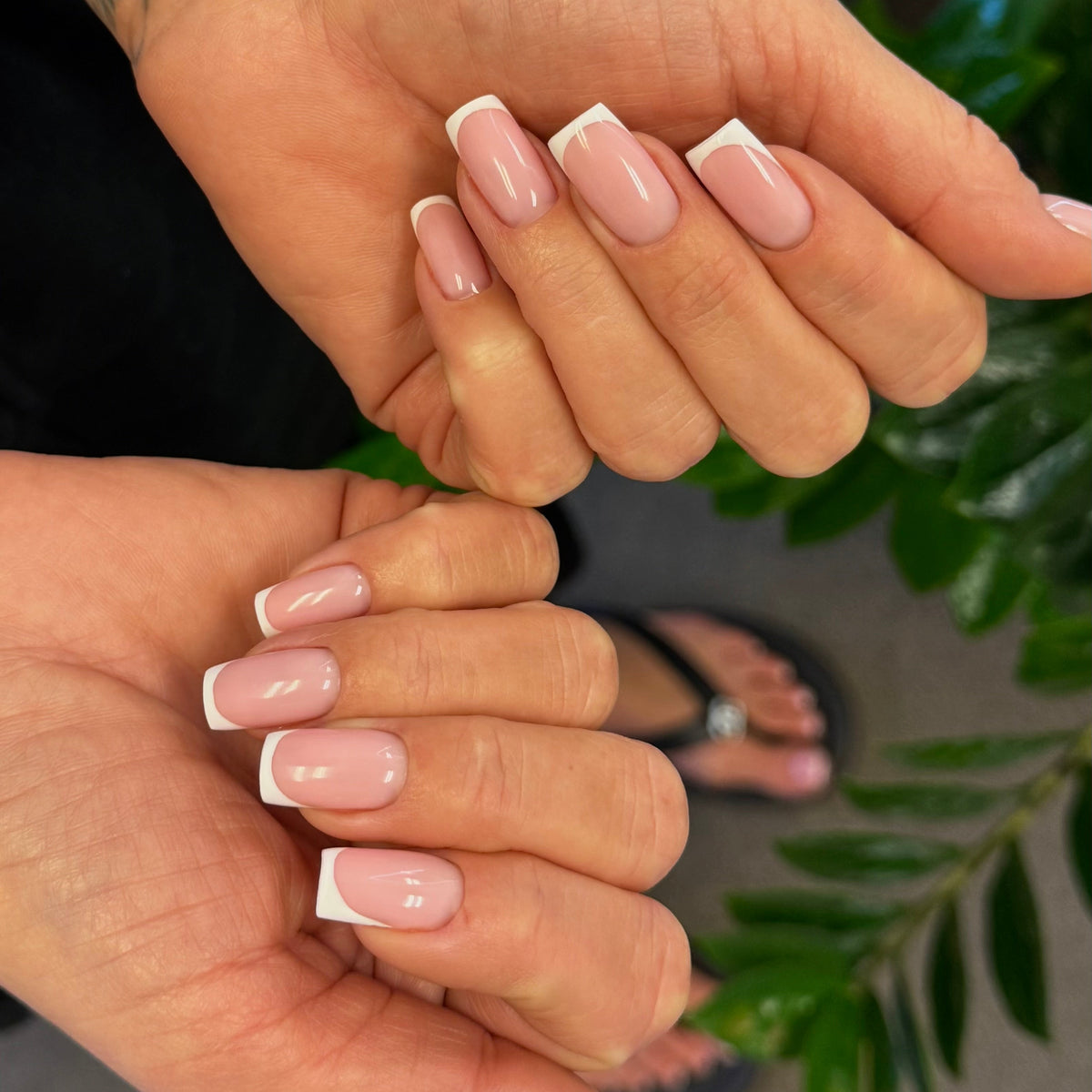 Peony - Hard Gel