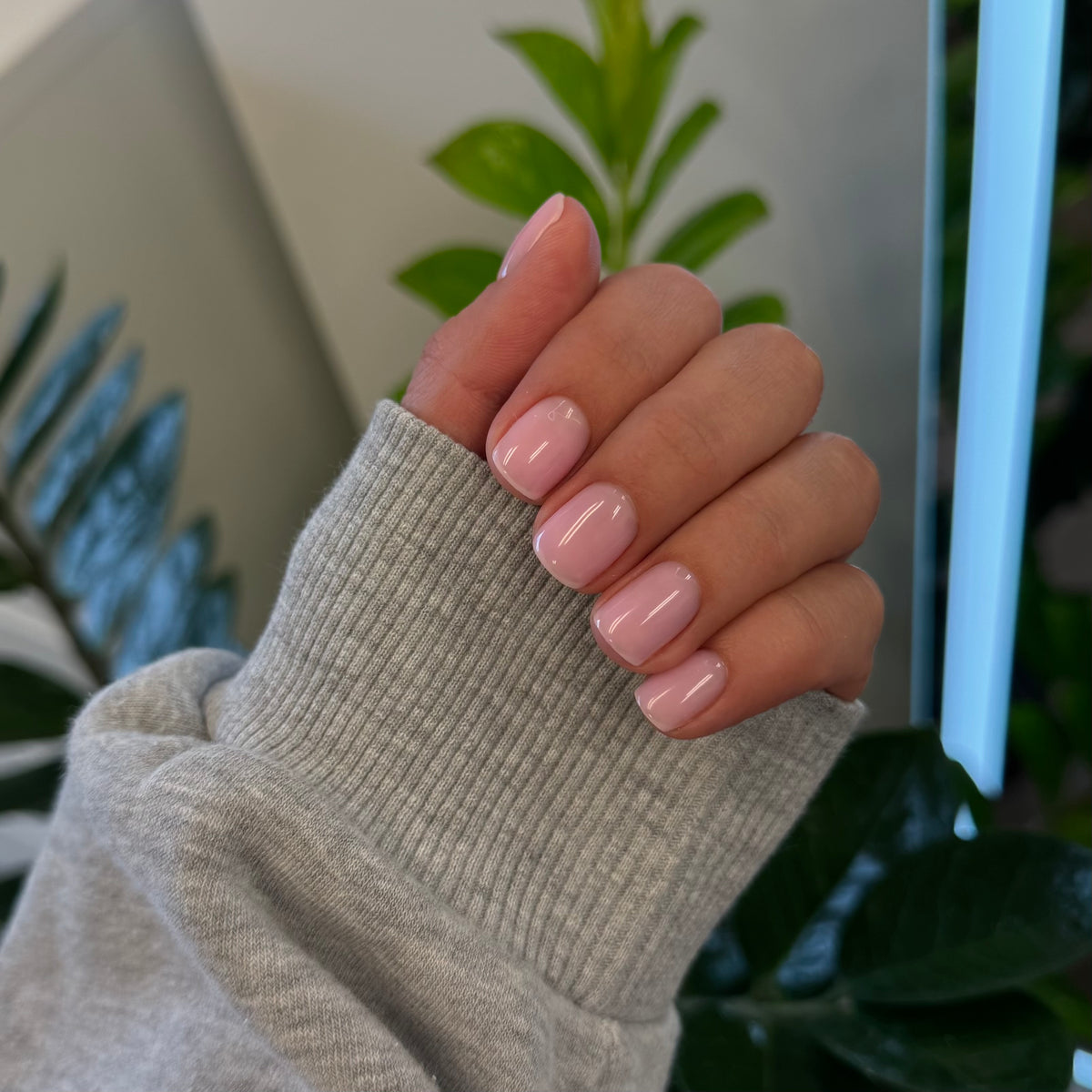 Pale Rose - Top Coat